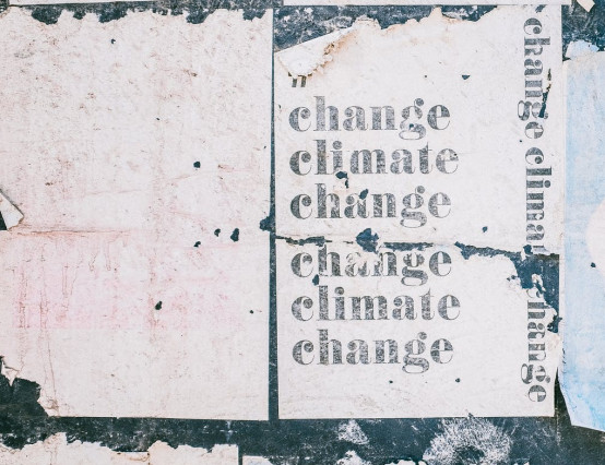 How climate change is reflected in contemporary art