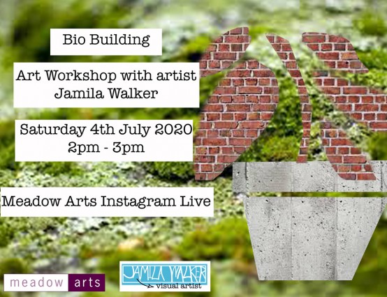 Bio Building - Instagram Live workshop