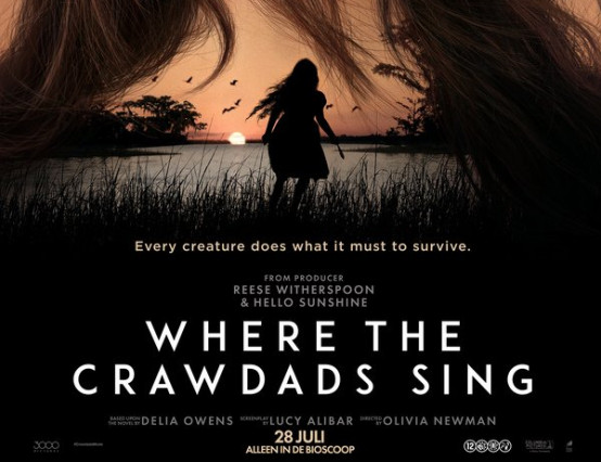 Film review: Where the Crawdads Sing – classy but by no means cliché…