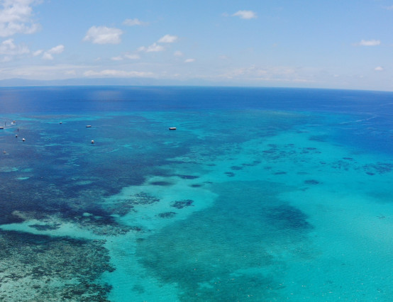 World Heritage Committee decides against placing Great Barrier Reef on danger list
